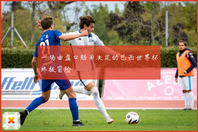 一场由盘口赔率决定的巴西世界杯终极冒险