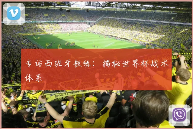 专访西班牙教练:揭秘世界杯战术体系