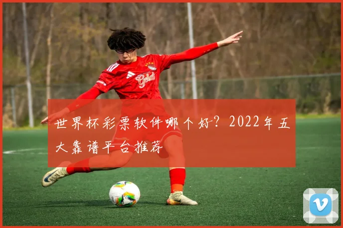 世界杯彩票软件哪个好?2022年五大靠谱平台推荐