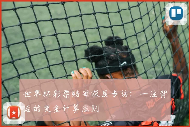 世界杯彩票赔率深度专访:一注背后的奖金计算法则