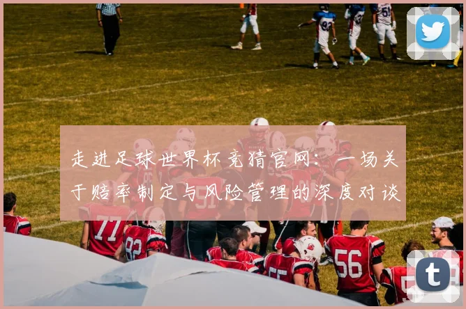 走进足球世界杯竞猜官网:一场关于赔率制定与风险管理的深度对谈