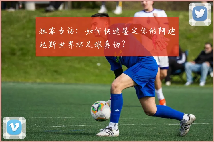 独家专访：如何快速鉴定你的阿迪达斯世界杯足球真伪？