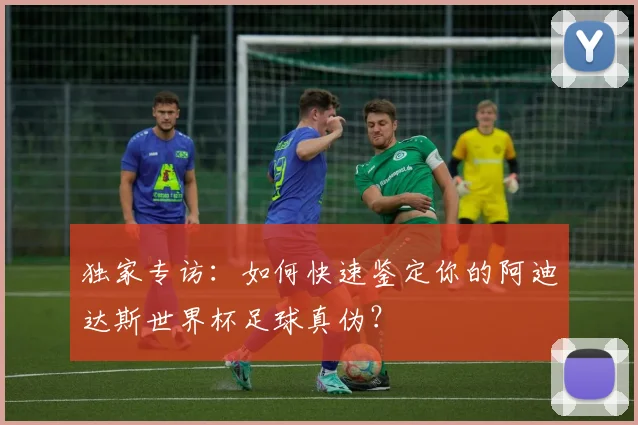 独家专访：如何快速鉴定你的阿迪达斯世界杯足球真伪？