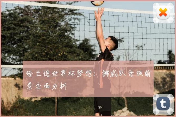 哈兰德世界杯梦想:挪威队晋级前景全面分析