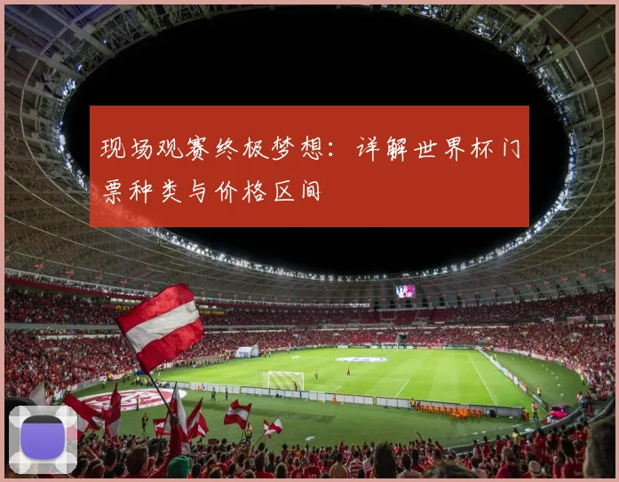 现场观赛终极梦想:详解世界杯门票种类与价格区间
