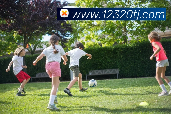 奇异果体育官方服务体系